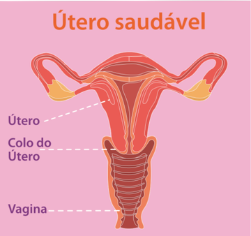 Informação sobre o HPV